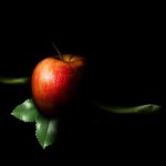 Leaderships Seven Deadly Sins