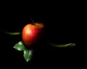 Leaderships Seven Deadly Sins